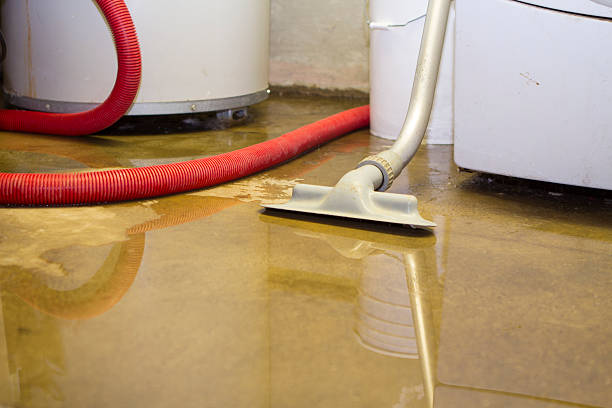 Best Residential Water Damage Restoration in Mascot, TN